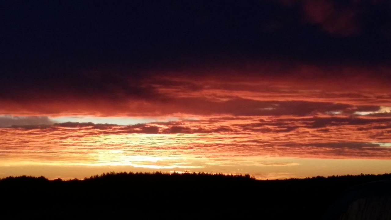 Лоджи Winnica Dębogóra Dobiegniew-24