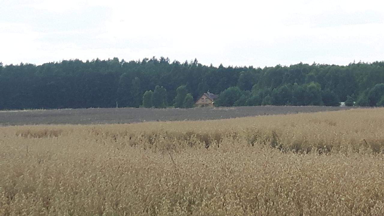 Лоджи Winnica Dębogóra Dobiegniew-28