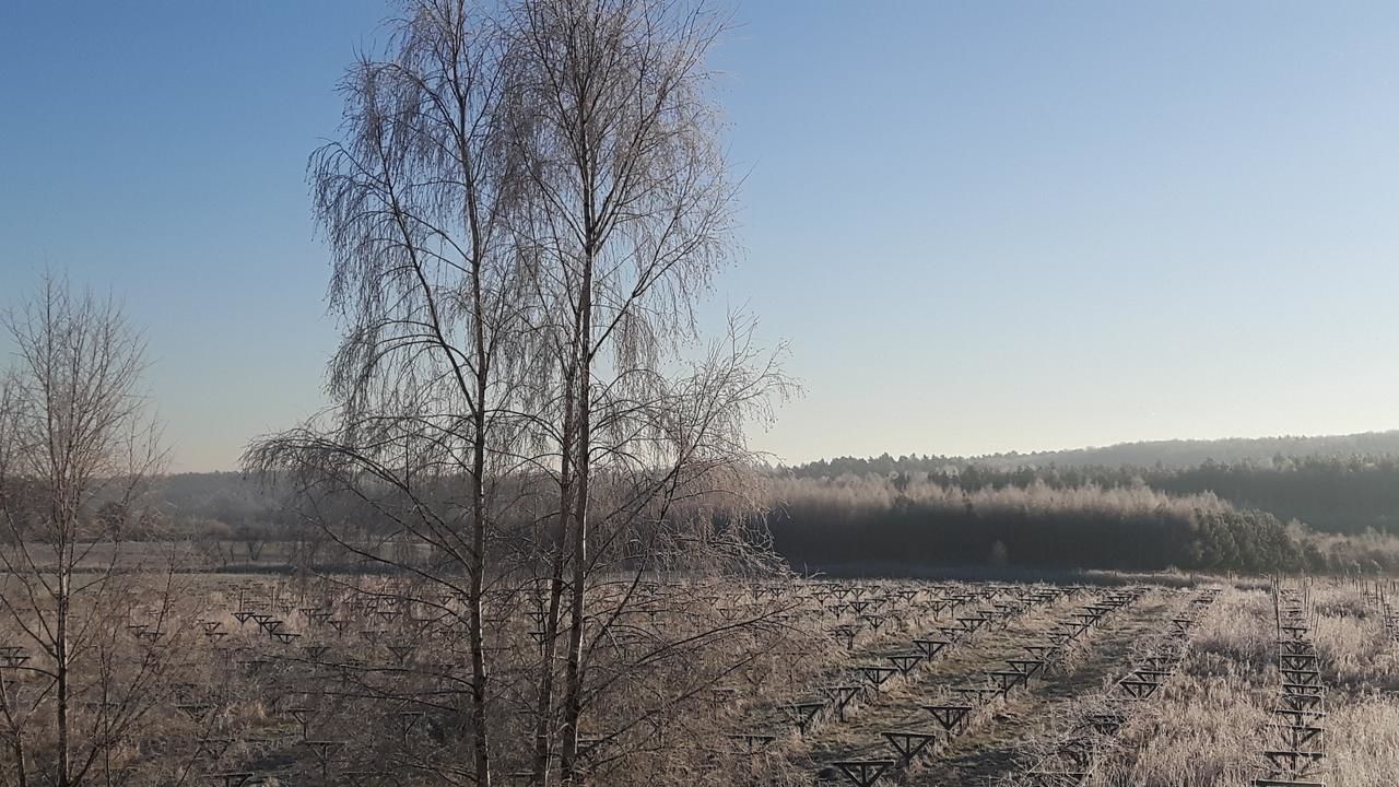 Лоджи Winnica Dębogóra Dobiegniew-35