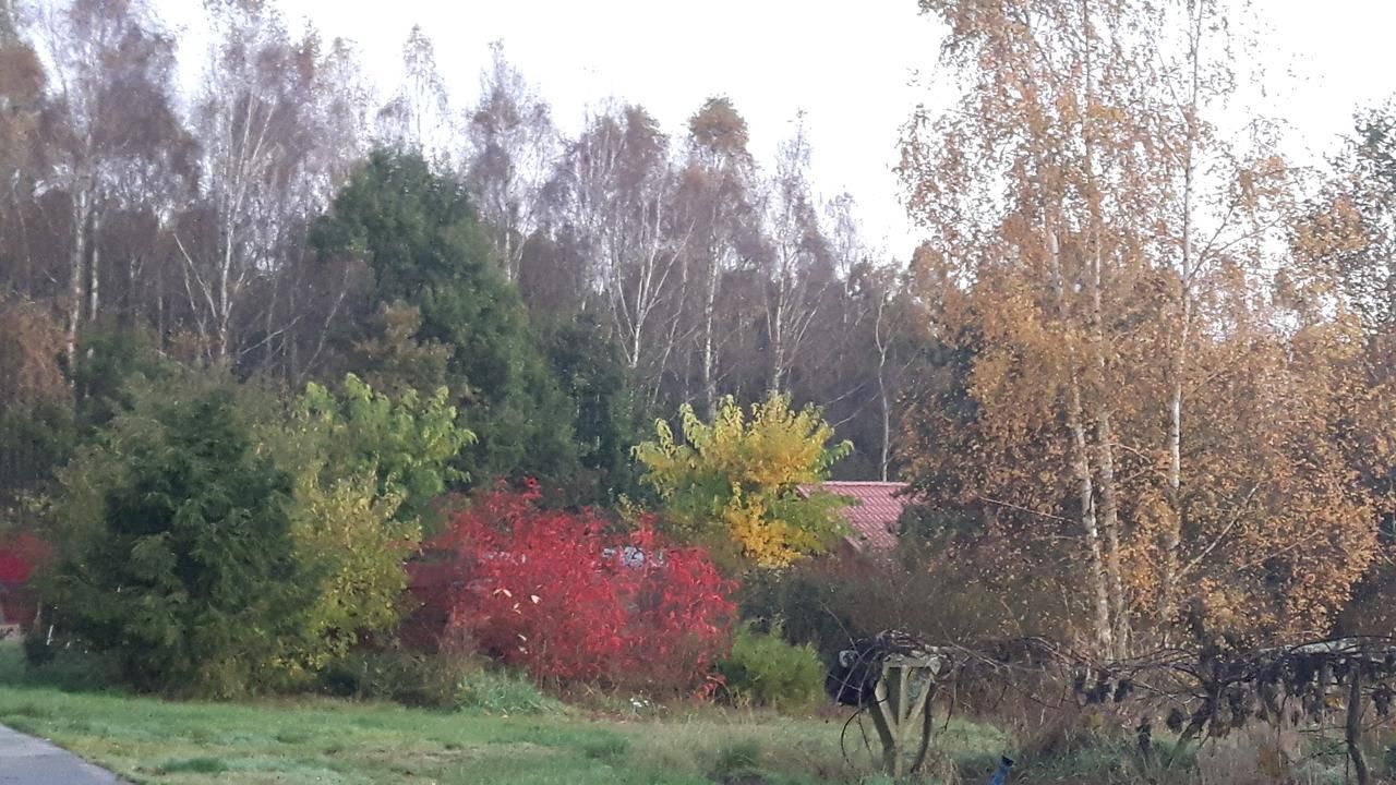Лоджи Winnica Dębogóra Dobiegniew-39