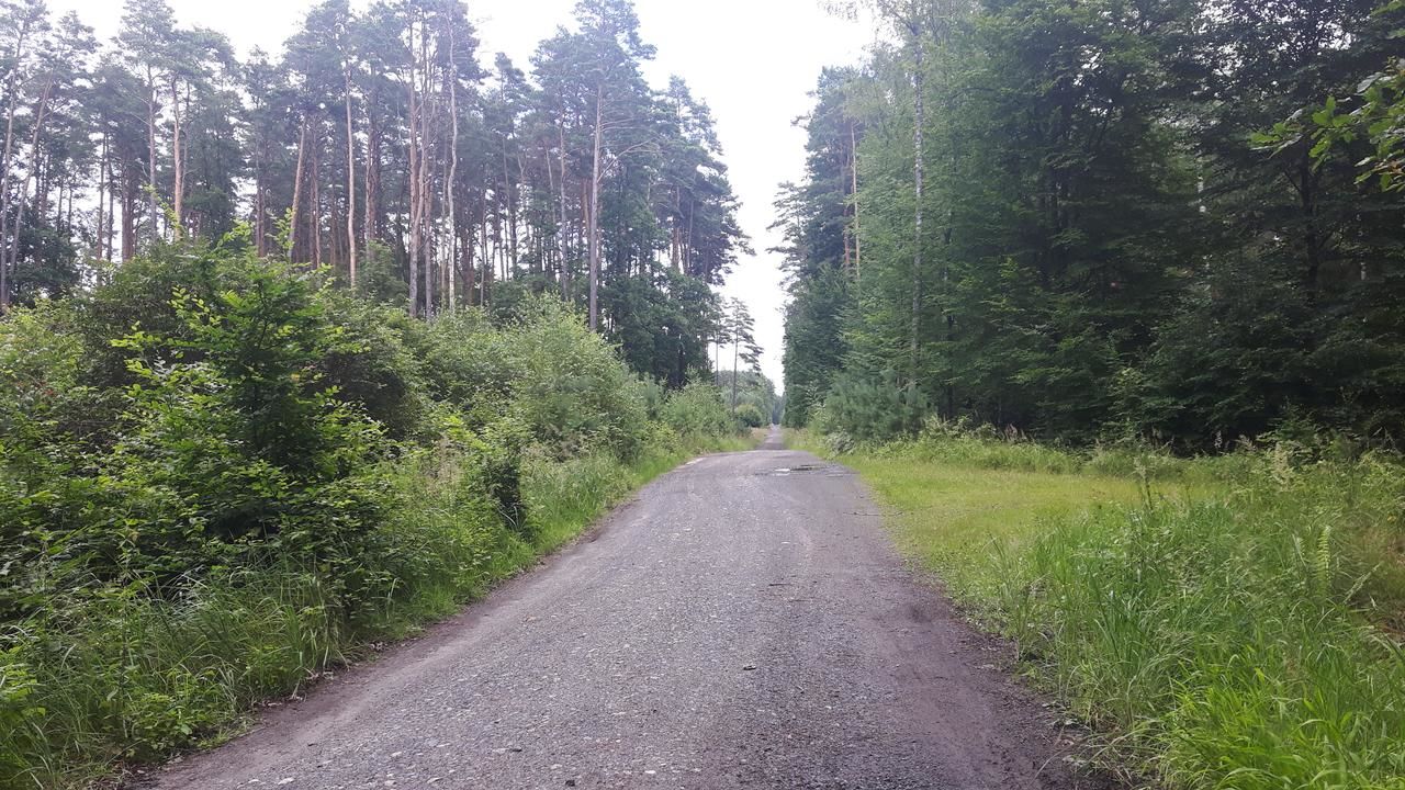 Лоджи Winnica Dębogóra Dobiegniew-40