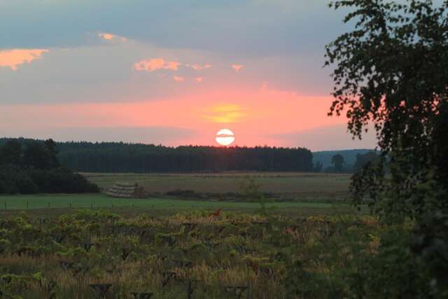 Лоджи Winnica Dębogóra Dobiegniew-26