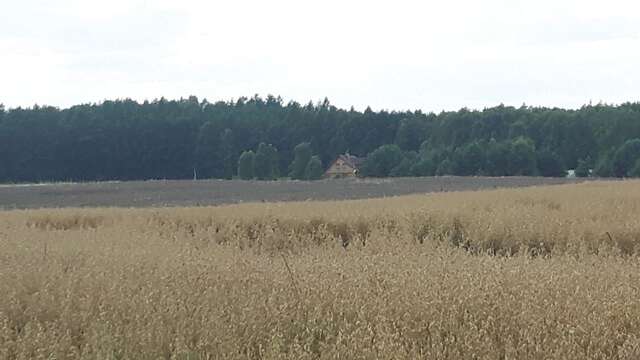 Лоджи Winnica Dębogóra Dobiegniew-27